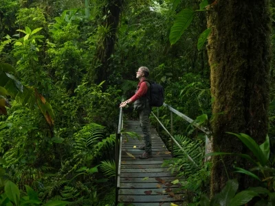 Mies seisoo sillalla Costa Rican viidakossa