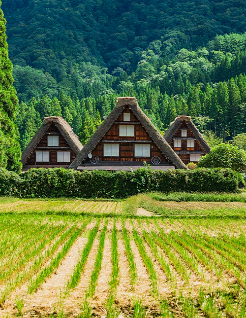 Shirakawa-go syksyllä