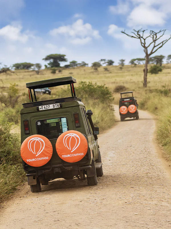 TourCompassin jeeppi safarilla Afrikassa