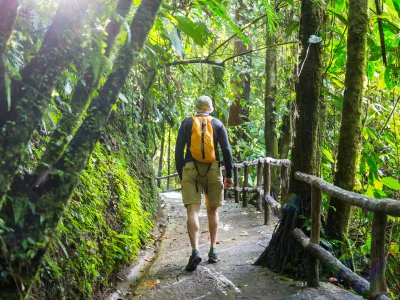 Mies kävelee yhdessä Costa Rican upeista vehreistä kansallispuistoista