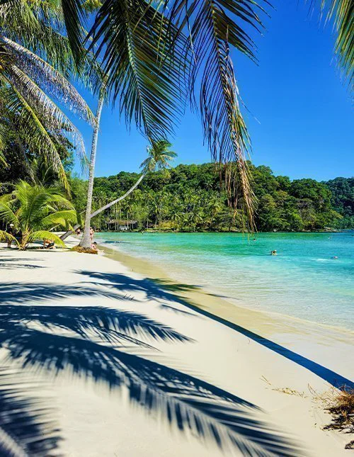 Koh Koodilla Thaimaassa rehevät palmut huojuvat lempeästi pehmeiden hiekkarantojen yllä